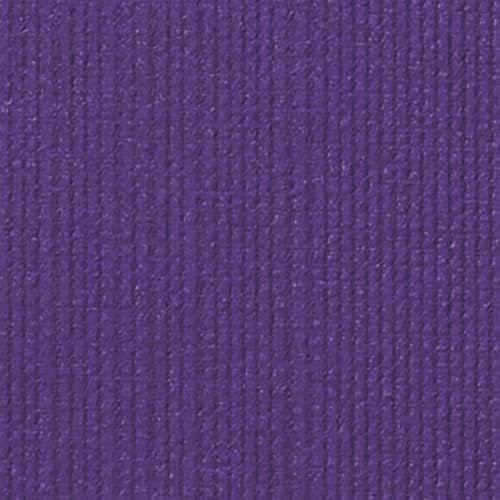 Manduka PRO Yoga Mat – Premium 6mm Thick Mat, High Performance Grip, Support and Stability in Yoga, Pilates, Gym, FitnessStandard, 71 Inches, Purple Color