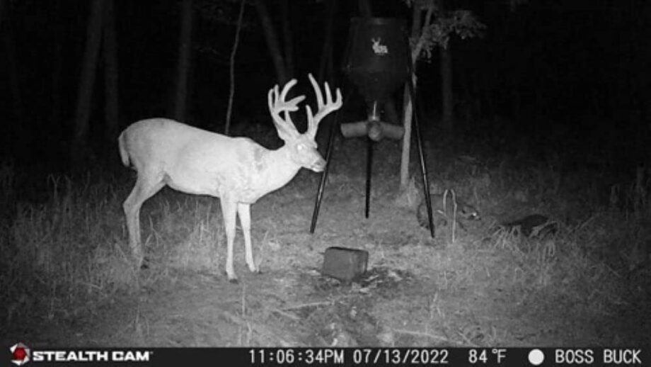Stealth Cam GMAX32 NO GLO Vision 32MP Photo & 1080P Video at 30FPS 42-940nm LEDs 0.4 Sec Trigger Speed 100Ft Detection & IR Range Hunting Trail Camera