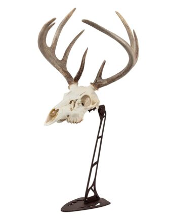 Allen Company EZ Mount Centerpiece Skull Stand, Brown