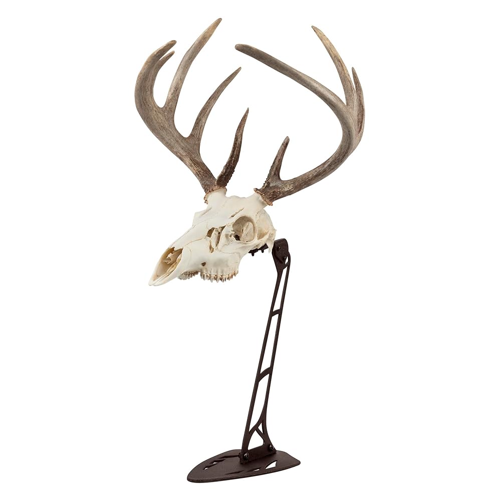 Allen Company EZ Mount Centerpiece Skull Stand, Brown