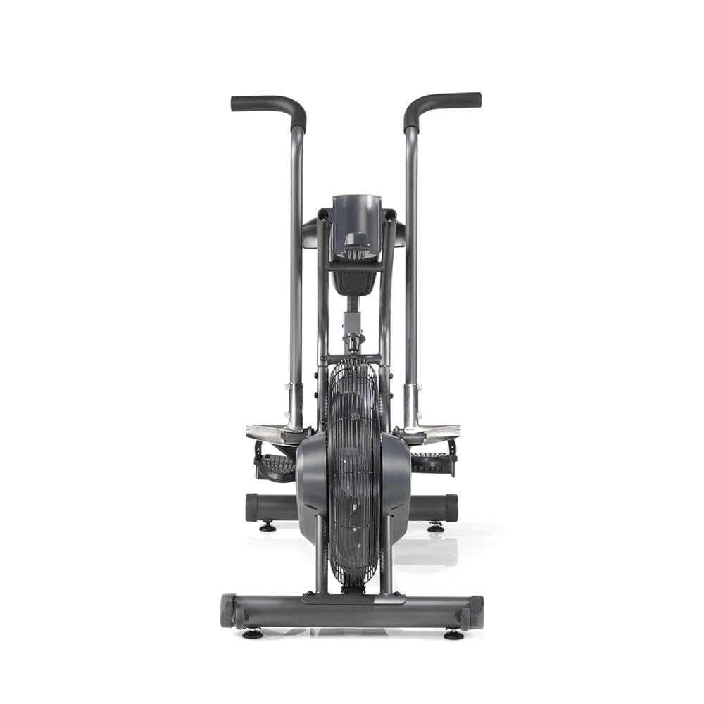 Schwinn Fitness AD6 Airdyne Bike, Black, 48 x 15 x 27 (100250)