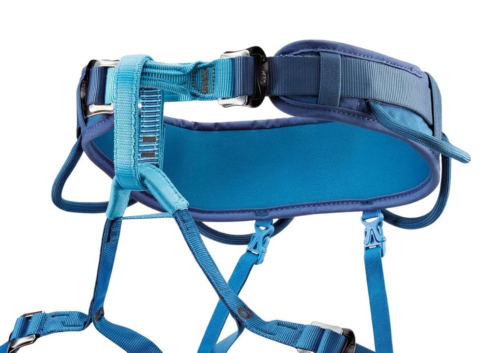 PETZL CORAX Comfortable and fully adjustable harness for gym and outdoor climbing, dual buckle waist, 2, navy blue