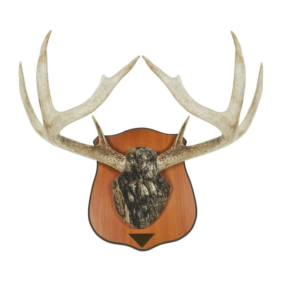 Allen Company Heirloom Antler Mounting Kit for Deer or Pronghorn