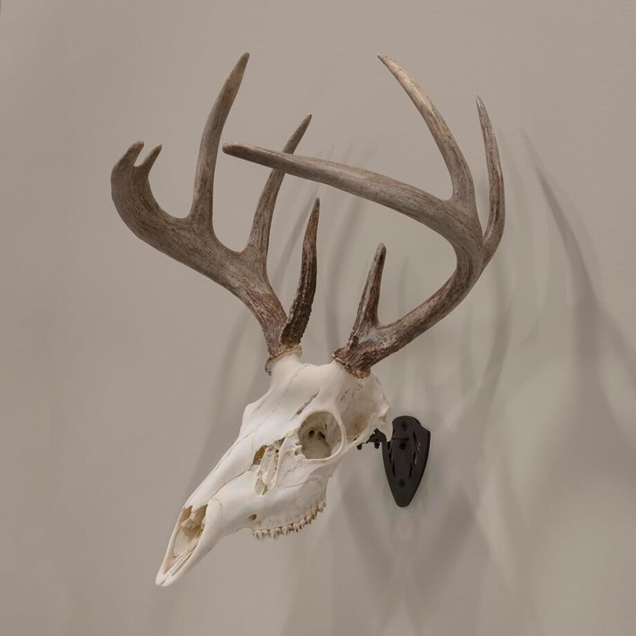 Allen Company EZ Mount Fixed Skull Hanger - Wall Mount Trophy Display for Deer, Antelope & Bear Skulls - Solid Steel Bracket with Complete Installation Kit - Brown
