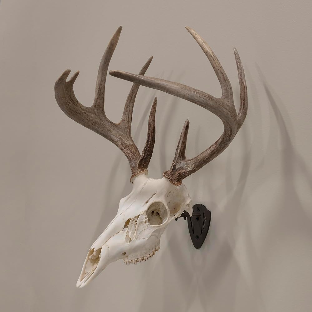 Allen Company EZ Mount Fixed Skull Hanger - Wall Mount Trophy Display for Deer, Antelope & Bear Skulls - Solid Steel Bracket with Complete Installation Kit - Brown