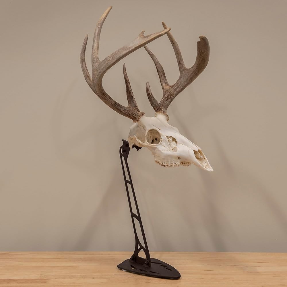 Allen Company EZ Mount Centerpiece Skull Stand, Brown