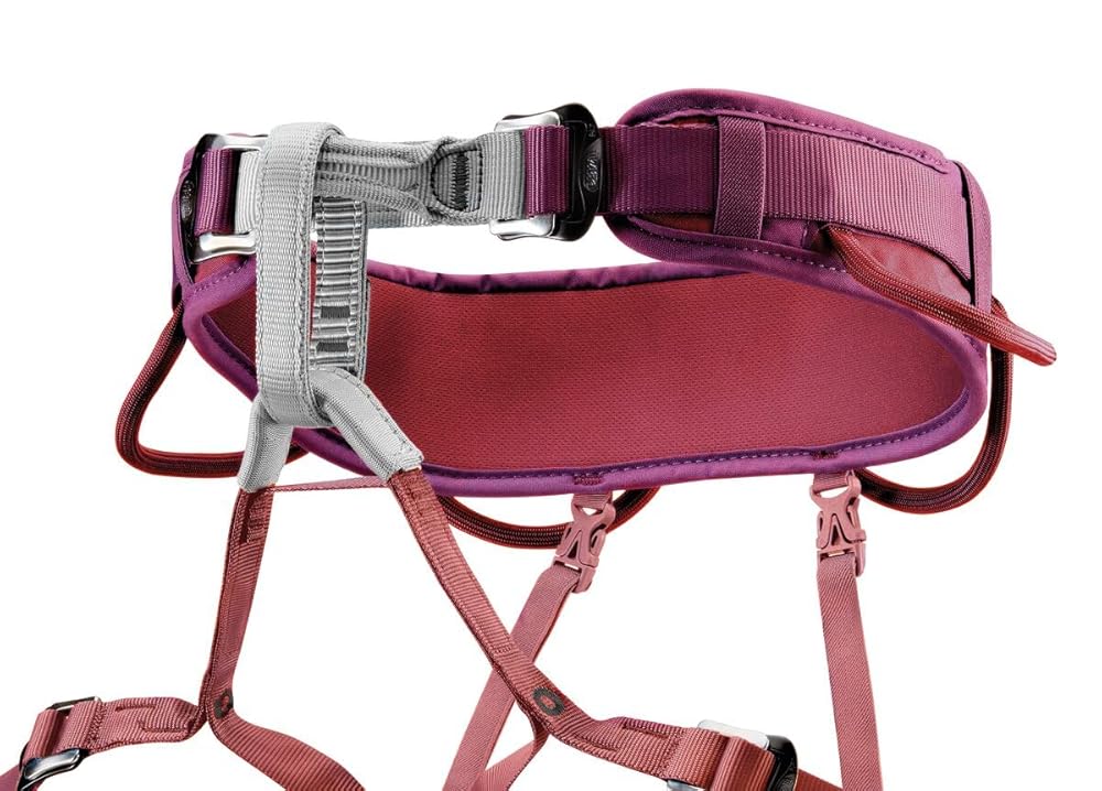 PETZL CORAX Comfortable and fully adjustable harness for gym and outdoor climbing, dual buckle waist, 2, dark red