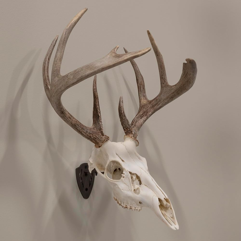 Allen Company EZ Mount Fixed Skull Hanger - Wall Mount Trophy Display for Deer, Antelope & Bear Skulls - Solid Steel Bracket with Complete Installation Kit - Brown