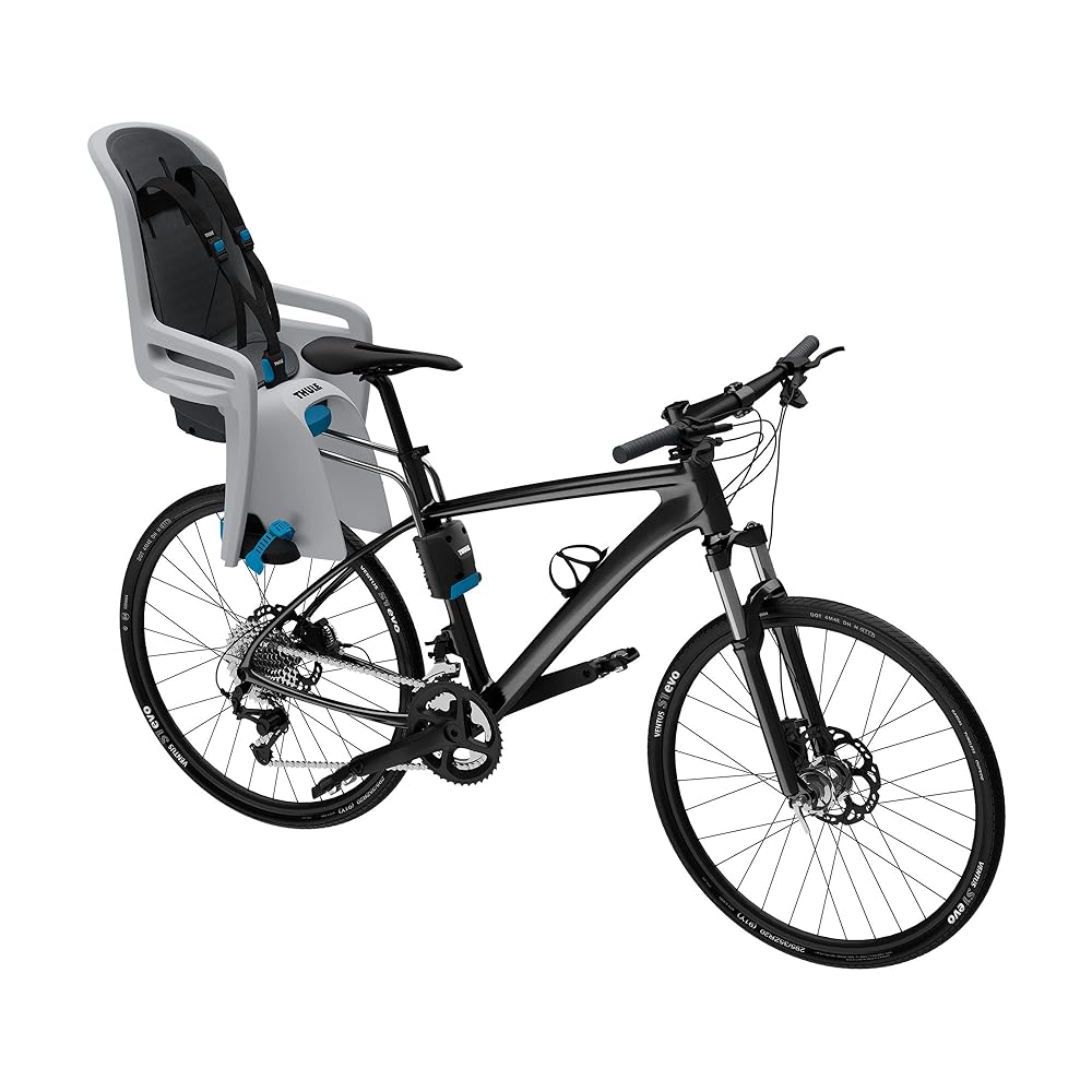 Thule Children's RideAlong Bike Seat, Light Gray, One Size