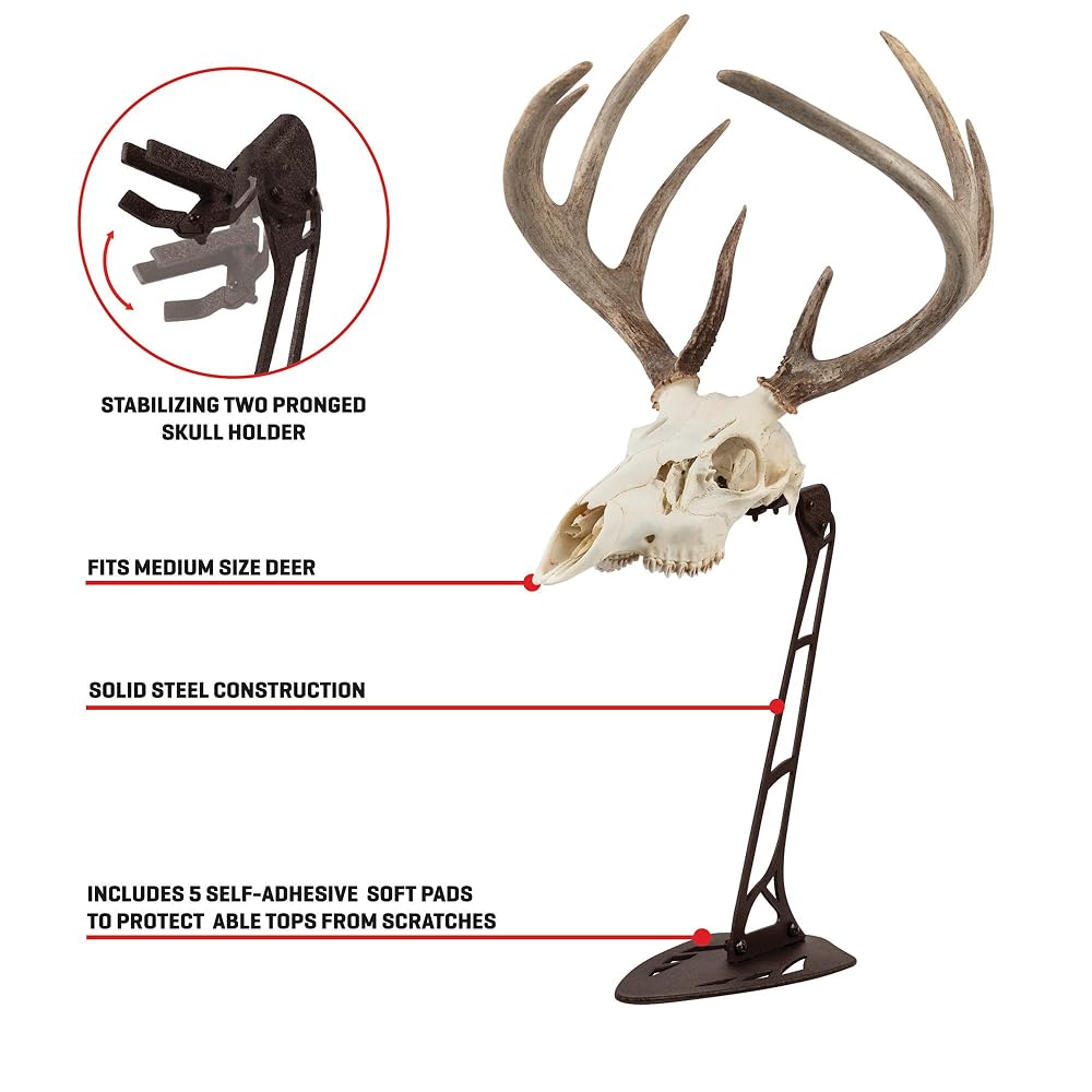 Allen Company EZ Mount Centerpiece Skull Stand, Brown