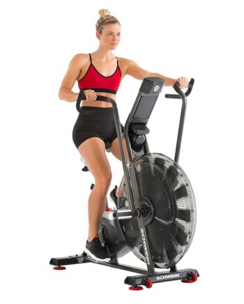 Schwinn Fitness AD7 Airdyne Bike