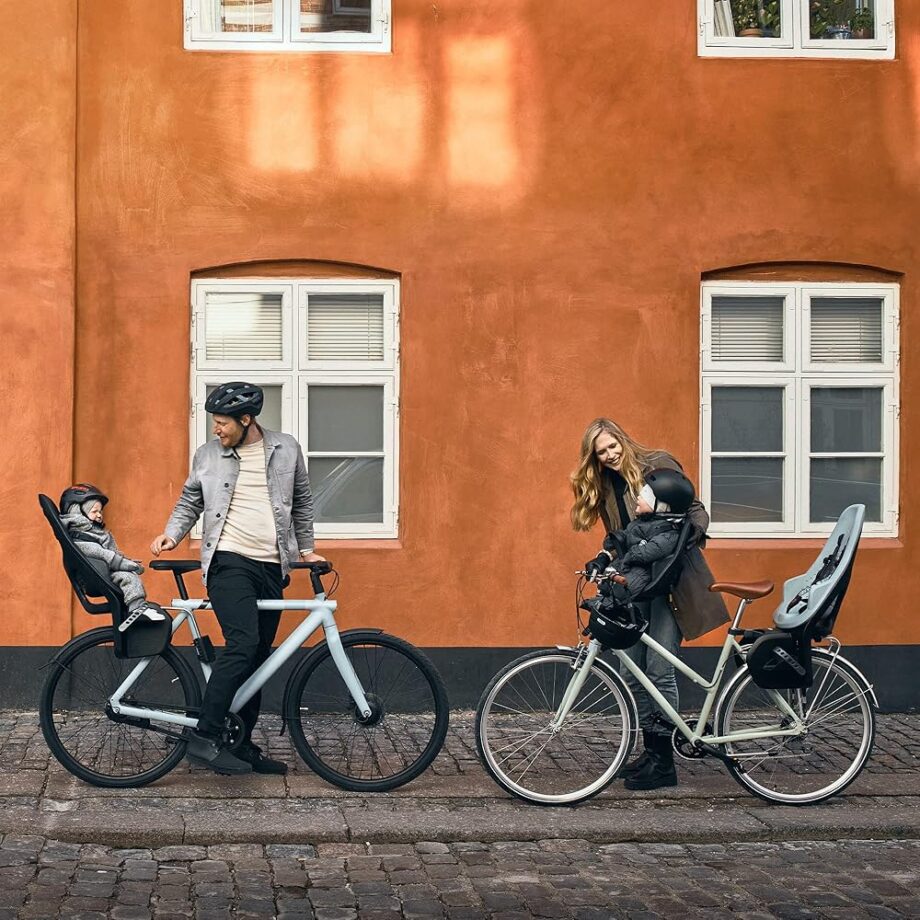 Thule Yepp 2 Rear Rack Mount Child Bike Seat, Alaska