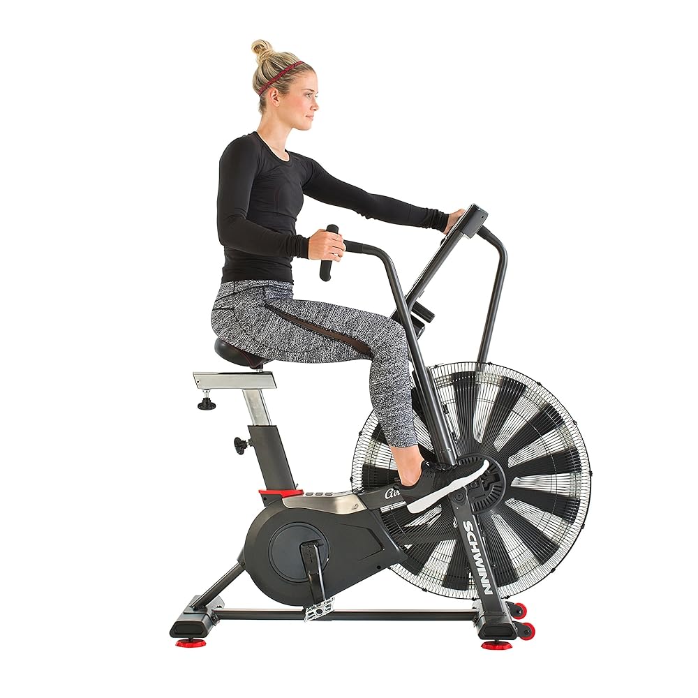 Schwinn Fitness AD7 Airdyne Bike